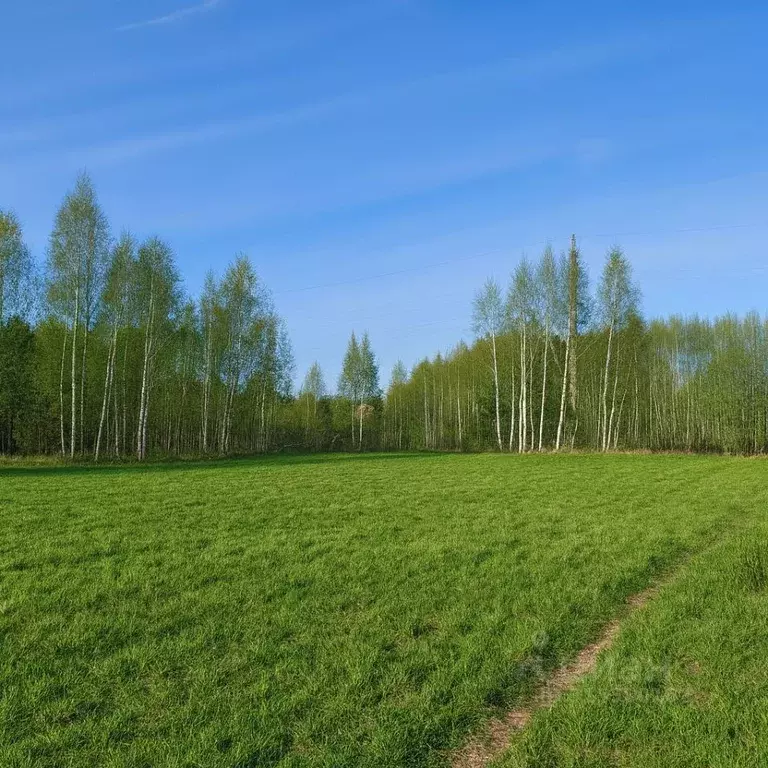 Участок в Московская область, Рузский муниципальный округ, д. Лобково ... - Фото 1