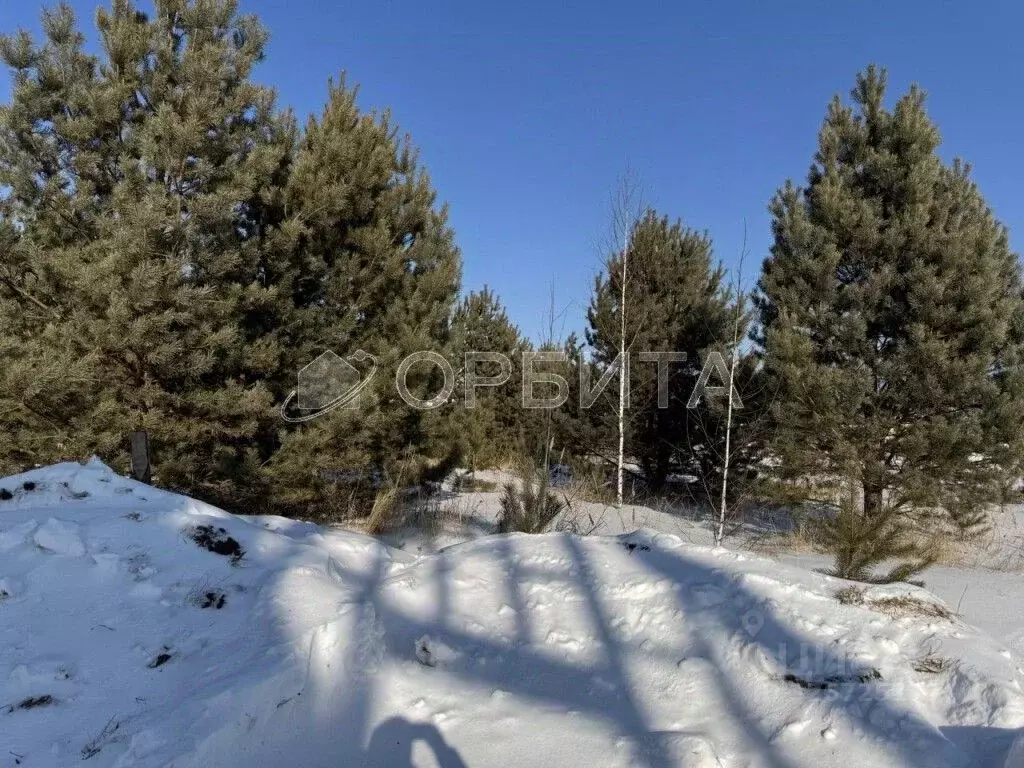 Участок в Тюменская область, Тюменский муниципальный округ, д. ... - Фото 1