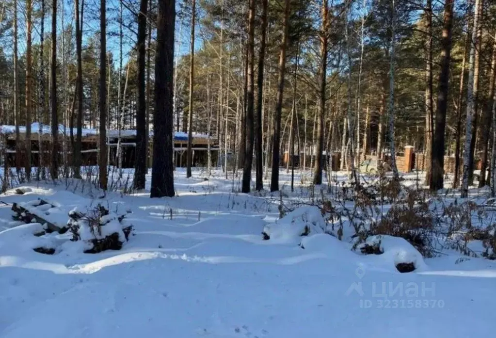 Участок в Иркутская область, Иркутский муниципальный округ, Роял Парк ... - Фото 0