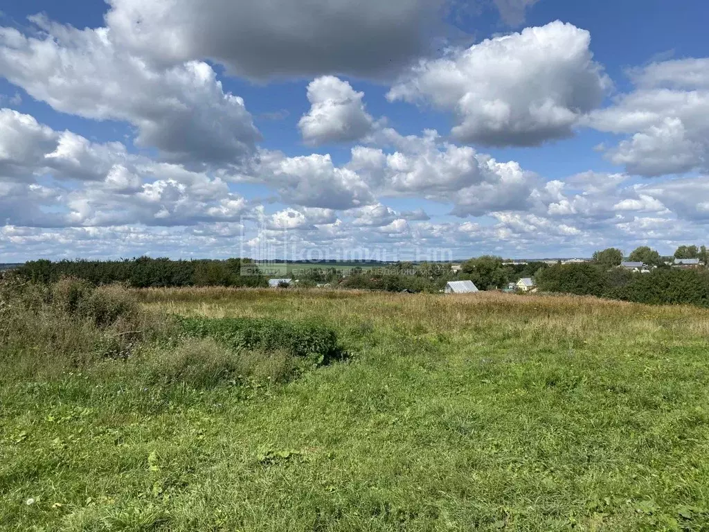 Участок в Владимирская область, Суздальский район, Новоалександровское ... - Фото 1