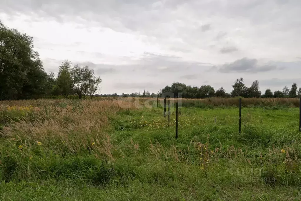 Участок в Калининградская область, Гвардейский муниципальный округ, ... - Фото 2