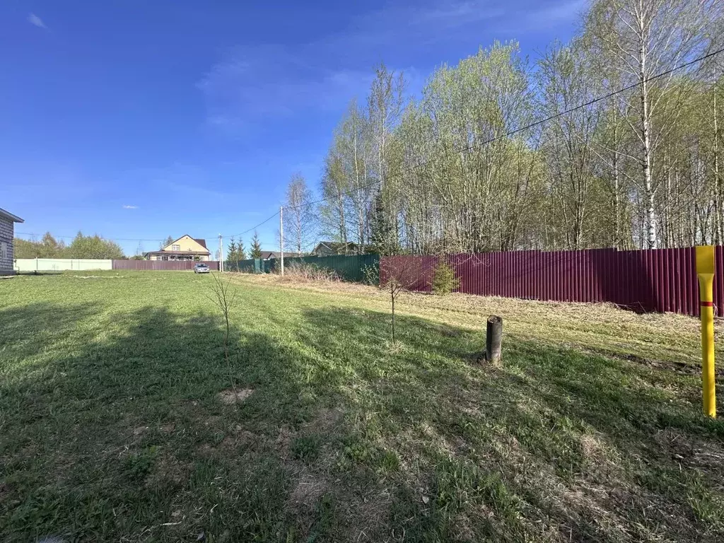 Участок в Владимирская область, Александровский район, Андреевское ... - Фото 0