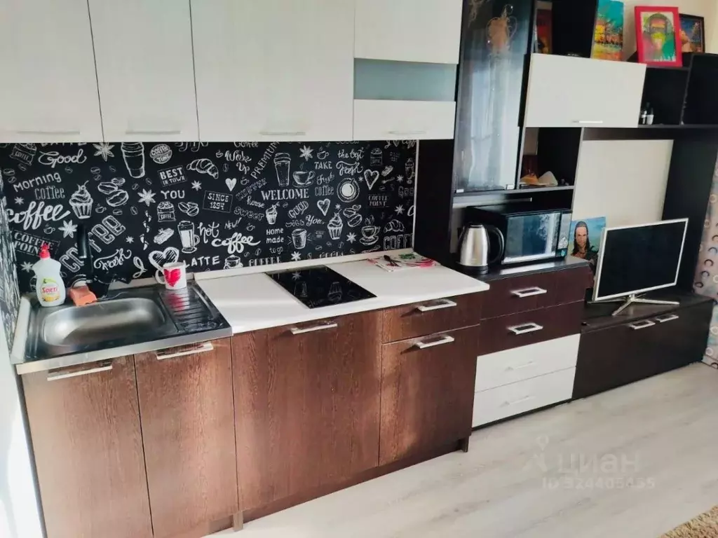 Студия Краснодарский край, Краснодар ул. Городская, 1 (25.3 м) - Фото 2