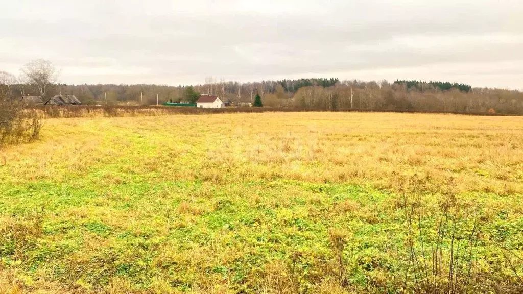 Участок в Смоленская область, Смоленский муниципальный округ, ... - Фото 1