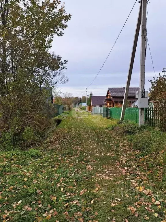 Участок в Вологодская область, Шекснинский район, Нифантовское с/пос, ... - Фото 0