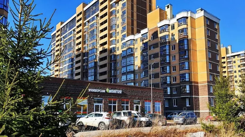 Студия Ленинградская область, Всеволожск ш. Дорога Жизни, 7к2 (22.8 м) - Фото 2