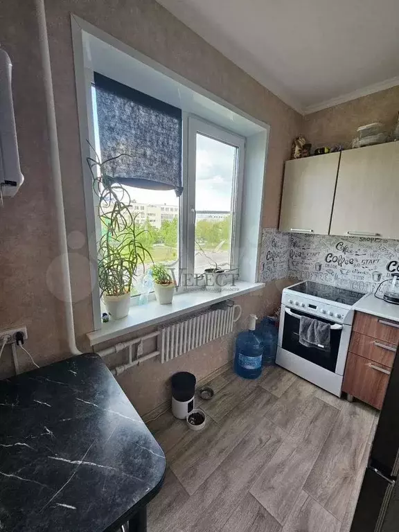 1-к. квартира, 31 м, 4/9 эт. - Фото 1