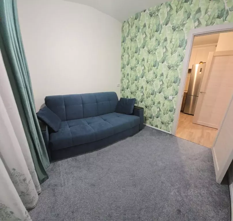 1-к кв. Санкт-Петербург Северный просп., 123к3 (31.0 м) - Фото 2