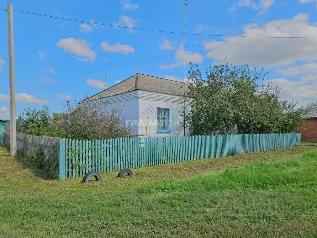 Дом в Омская область, Черлакский район, с. Иртыш Набережная ул. (105 ... - Фото 1