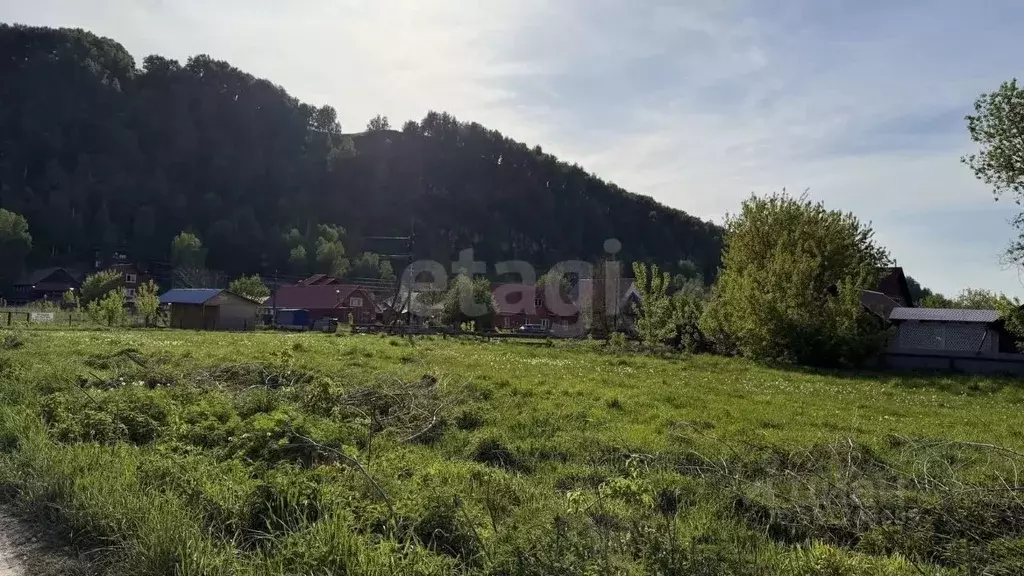 Участок в Алтайский край, Алтайский район, Айский сельсовет, с. Ая  ... - Фото 1