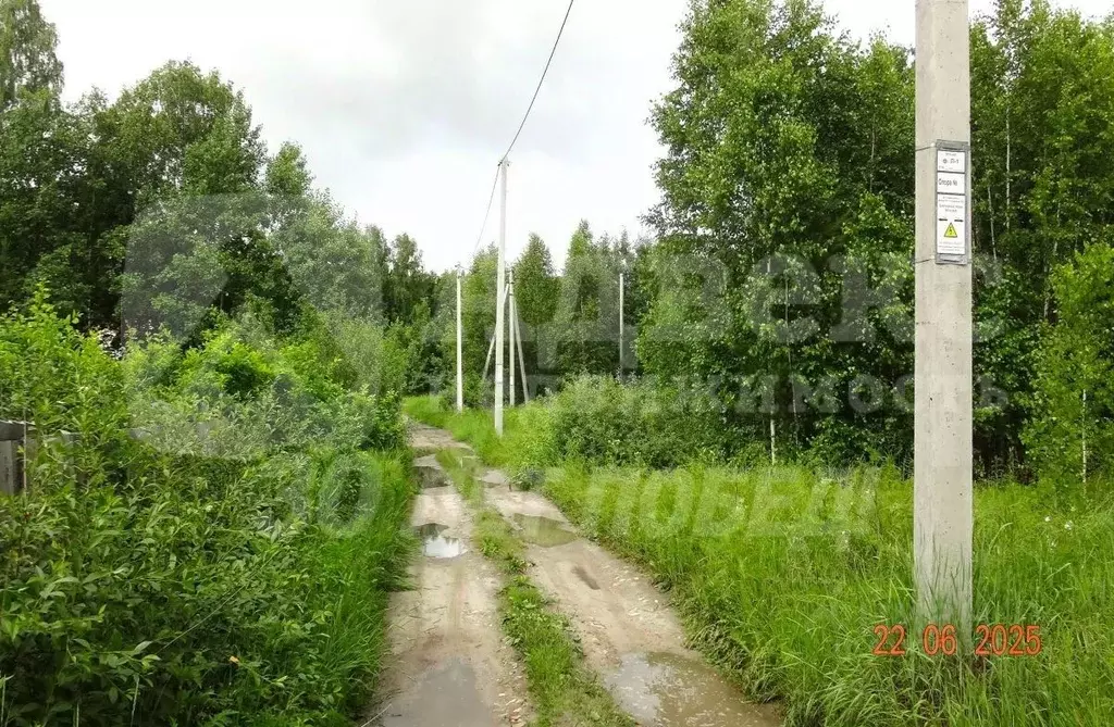 Участок в Тюменская область, Нижнетавдинский район, Лебедушка СПК ул. ... - Фото 1