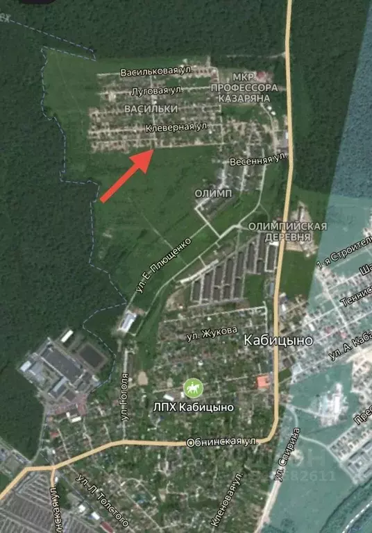 Участок в Калужская область, Совхоз Боровский с/пос, д. Кабицыно ул. ... - Фото 2