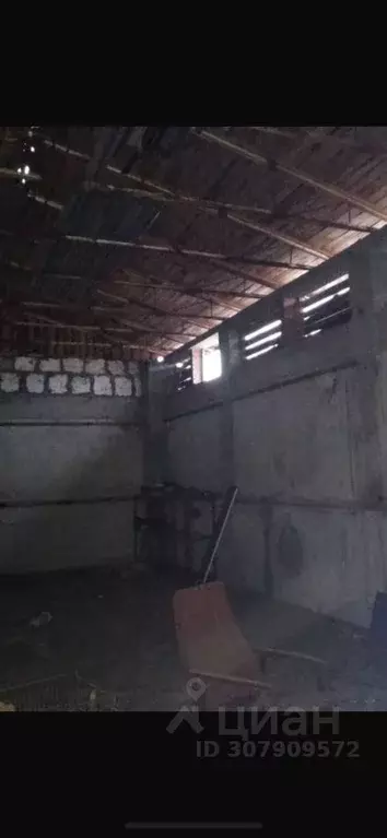 Помещение свободного назначения в Самарская область, Ставропольский ... - Фото 1