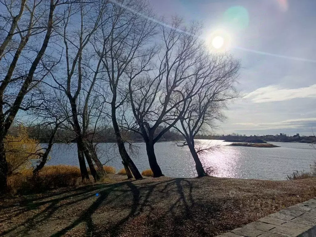 Участок в Оренбургская область, Оренбург Энергетик СНТ, ул. ... - Фото 1