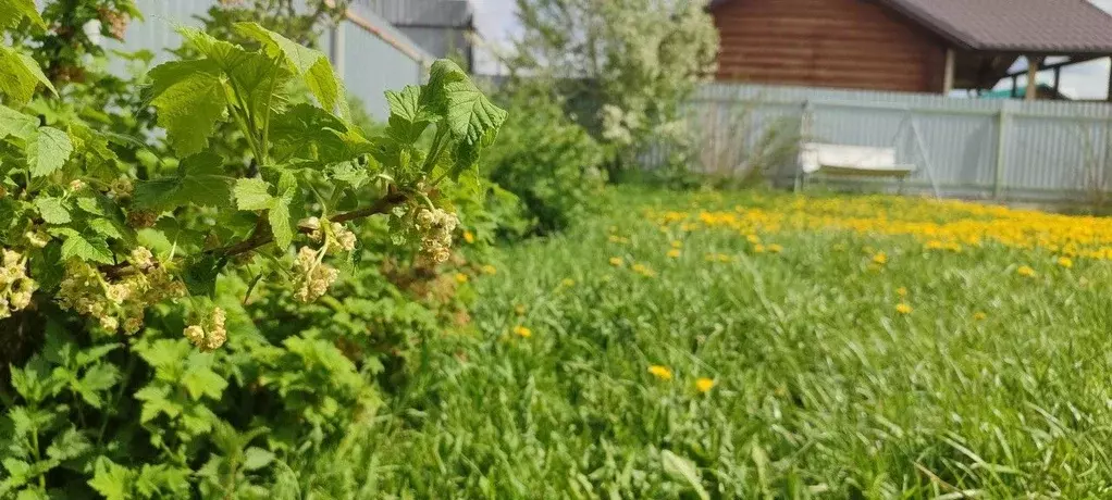 Участок в Свердловская область, Полевской муниципальный округ, с. ... - Фото 1