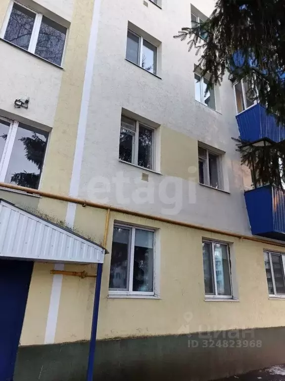 1-к кв. Татарстан, Альметьевск ул. Маяковского, 6 (28.0 м) - Фото 1