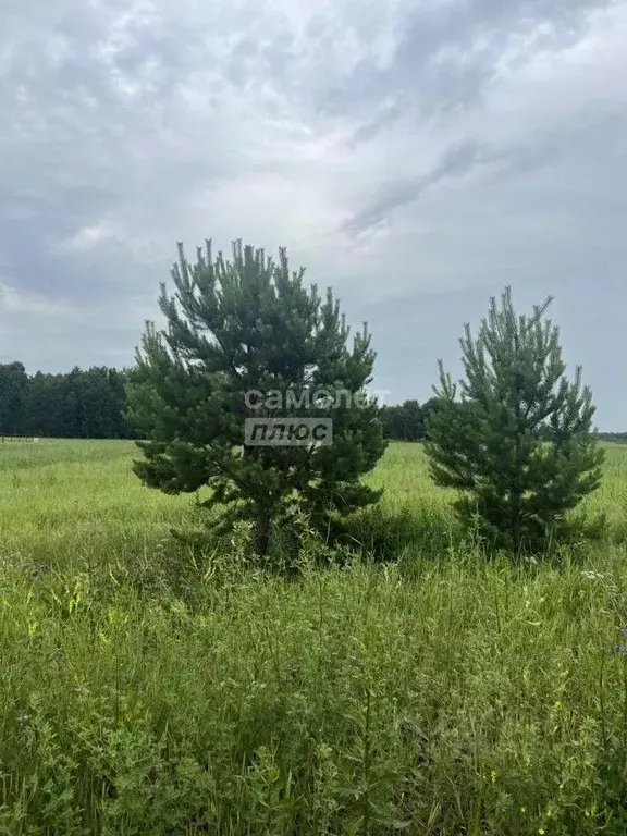 Участок в Тюменская область, Тюменский муниципальный округ, ... - Фото 1