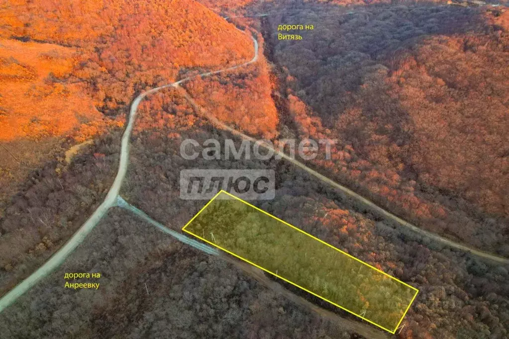 Участок в Приморский край, Хасанский муниципальный округ, с. Рисовая ... - Фото 2