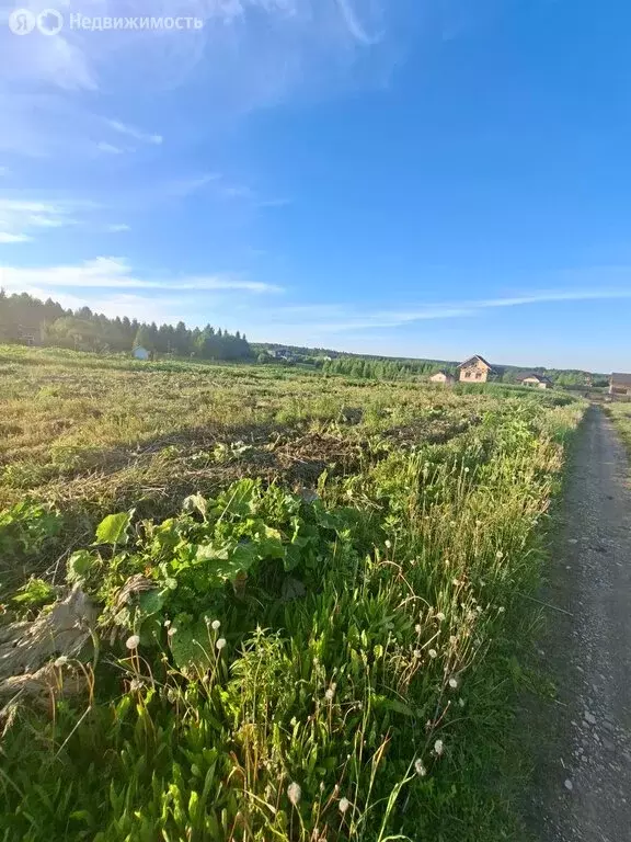 Участок в Московская область, Рузский муниципальный округ, деревня ... - Фото 1