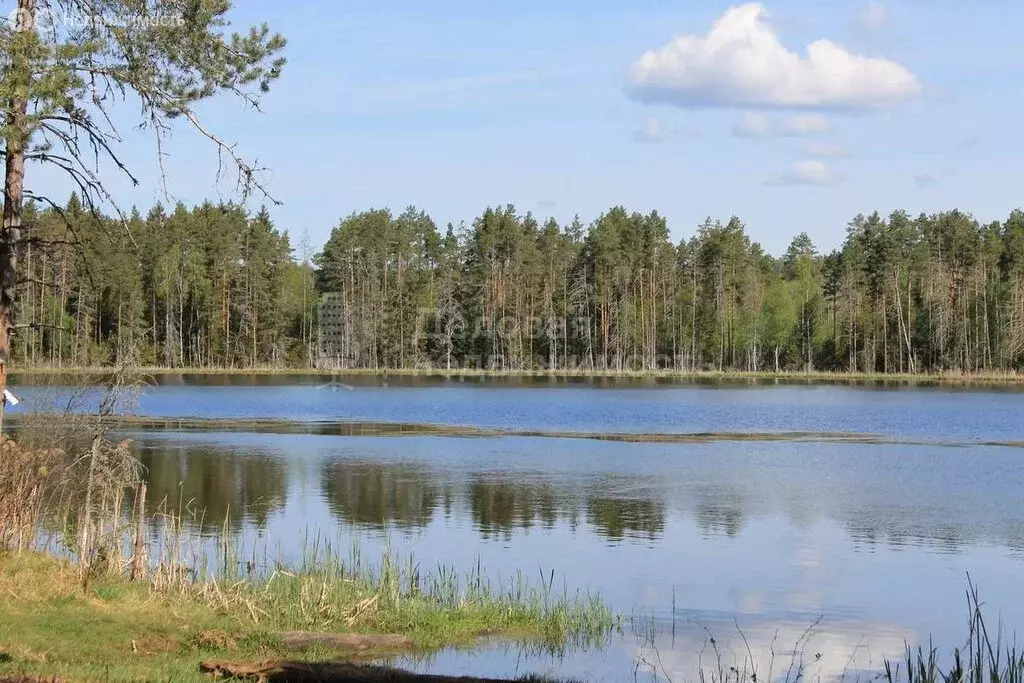 2-комнатная квартира: поселок городского типа Любытино, улица Советов, ... - Фото 0
