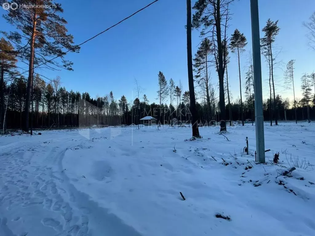 Участок в Нижнетавдинский район, село Тюнево (17 м) - Фото 0