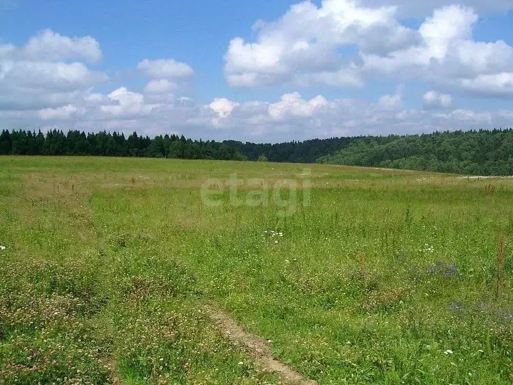 Участок в Нижегородская область, Вачский муниципальный округ, ... - Фото 1