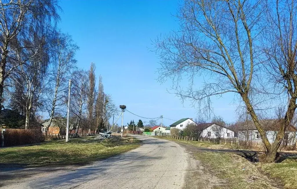 Участок в Калининградская область, Зеленоградский муниципальный округ, ... - Фото 1