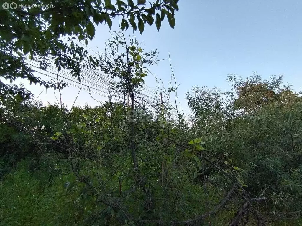 Дом в Орёл, СНТ Песчаный Берег (12 м) - Фото 2