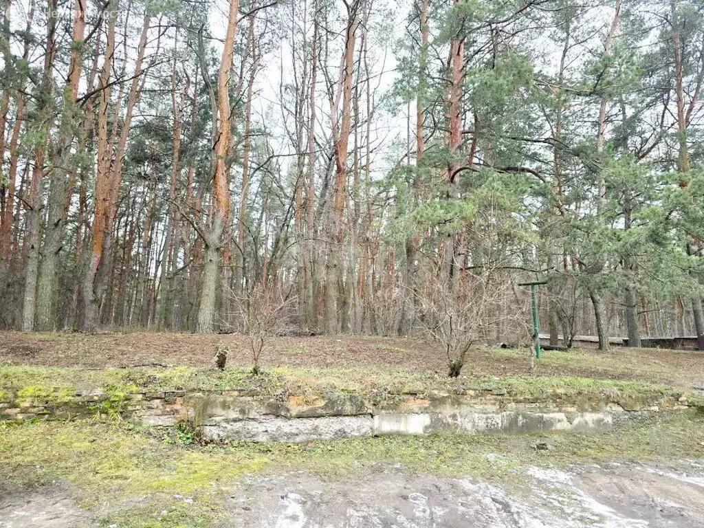 1-комнатная квартира: Валуйки, улица Островского, 1Б (36 м) - Фото 2