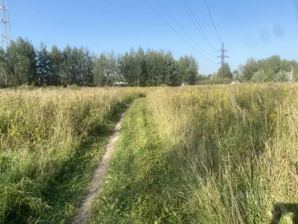 Участок в Московская область, Щелково городской округ, Лосиный Парк ... - Фото 1
