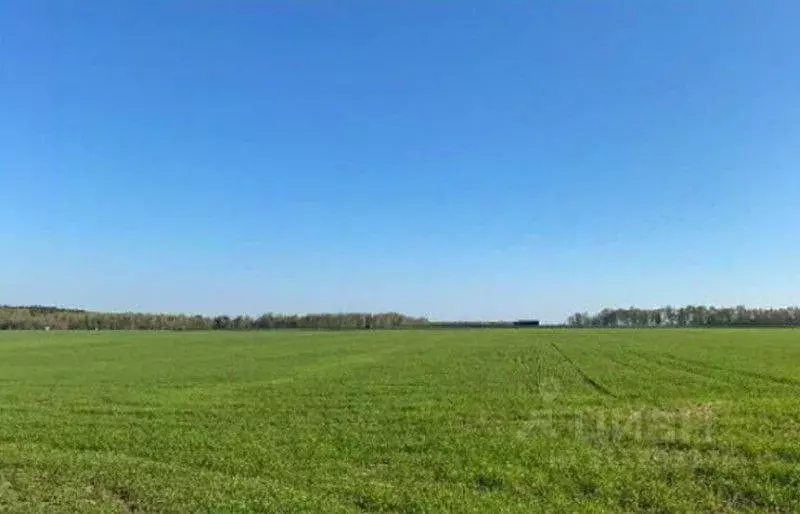 Участок в Челябинская область, Брединский район, Наследницкое с/пос  ... - Фото 0