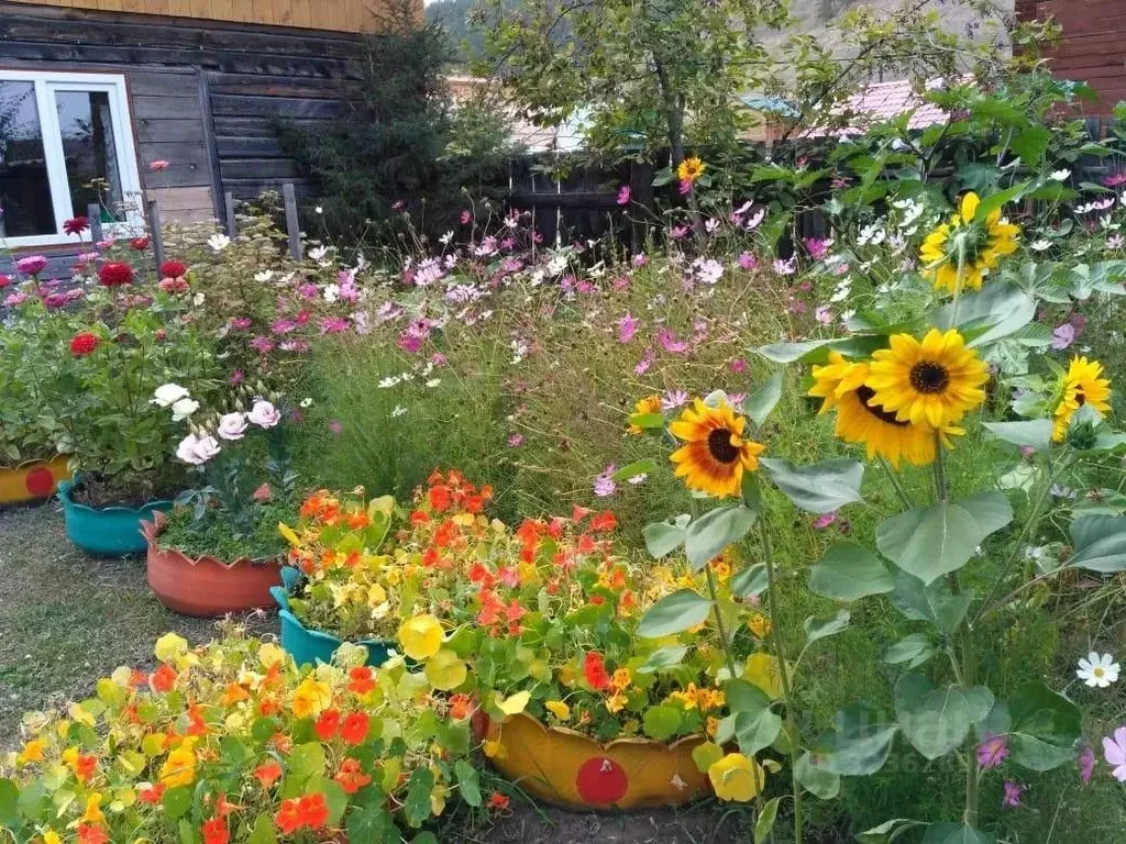 Участок в Саха (Якутия), Якутск ш. Хатынг-Юряхское (8.0 сот.) - Фото 1