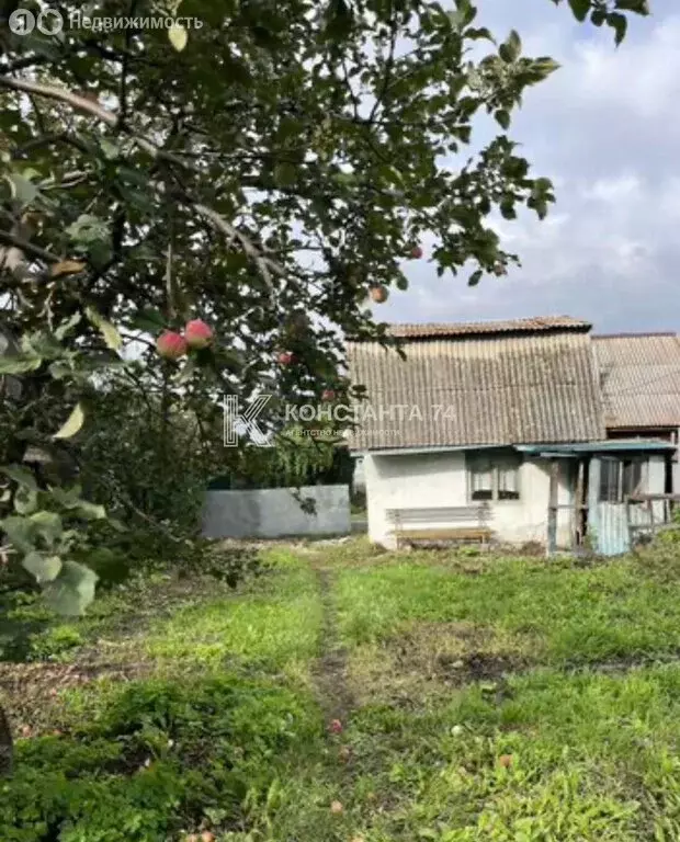Дом в Чебаркуль, СНТ Учительский, 5 (21.8 м) - Фото 1