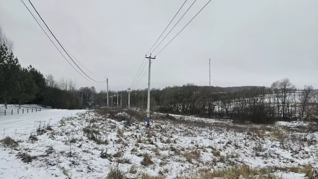 Участок в Московская область, Домодедово городской округ, д. Ляхово  ... - Фото 0