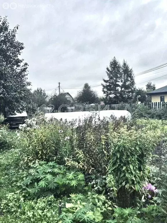 Участок в Тюменский муниципальный округ, СНТ Целинное (13.7 м) - Фото 2