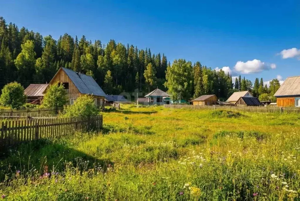 Участок в Алтай, Чойский район, с. Паспаул пер. Трофимова, 16Б (12.56 ... - Фото 2