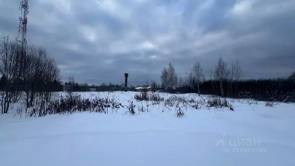 Участок в Московская область, Истра муниципальный округ, пос. Хуторки  ... - Фото 0