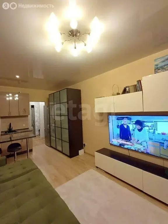 Квартира-студия: Санкт-Петербург, Пулковская улица, 1к2 (24 м) - Фото 1