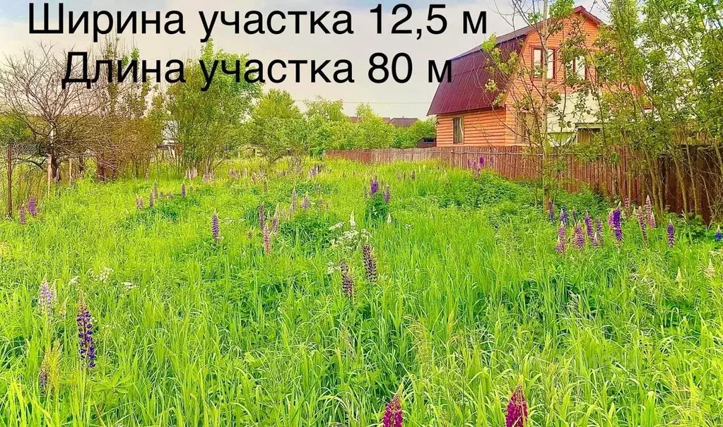 Участок в Московская область, Павлово-Посадский городской округ, д. ... - Фото 1