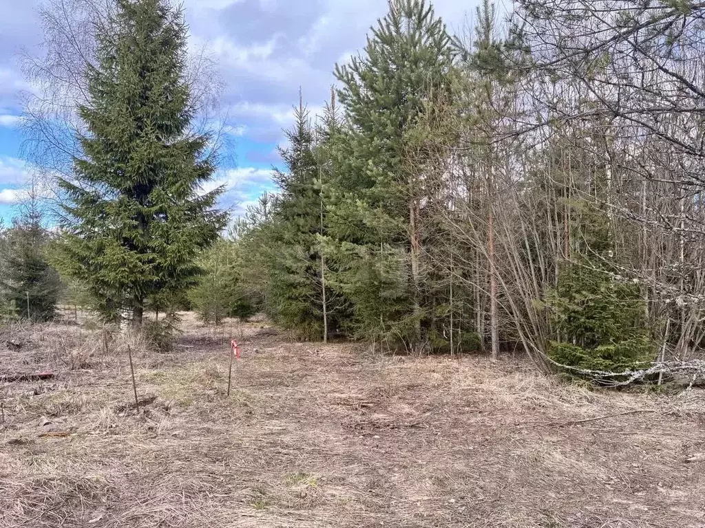 Участок в Архангельская область, Котласский муниципальный округ, д. ... - Фото 1