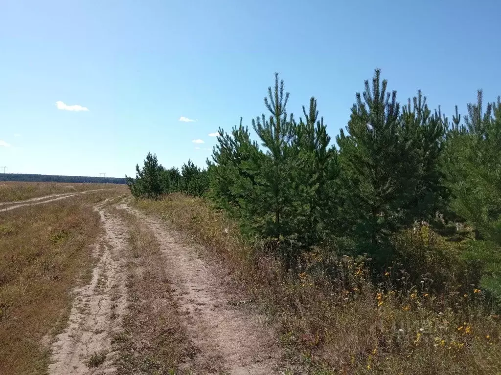 Участок в Свердловская область, Сысерть ул. Володарского (901.0 сот.) - Фото 0