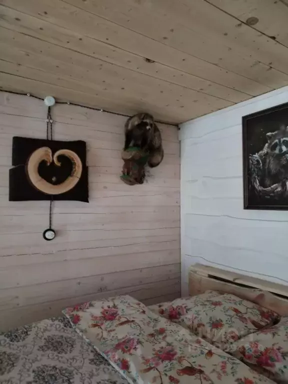 Дом в Алтай, Майминский район Р-256 Чуйский тракт, 489-й км, 1 (30 м) - Фото 2