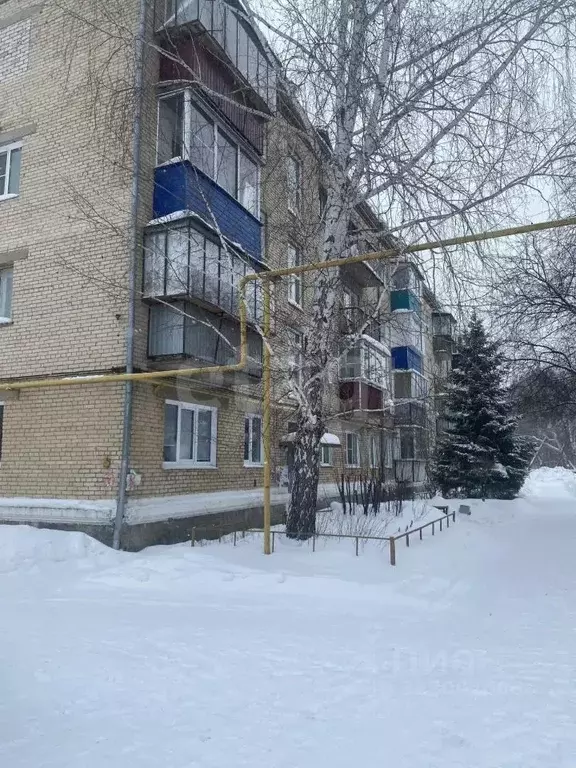 1-к кв. Челябинская область, Пласт ул. Строителей, 7 (29.7 м) - Фото 1