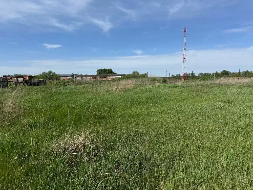 Участок в Московская область, Богородский городской округ, д. Зубцово  ... - Фото 1
