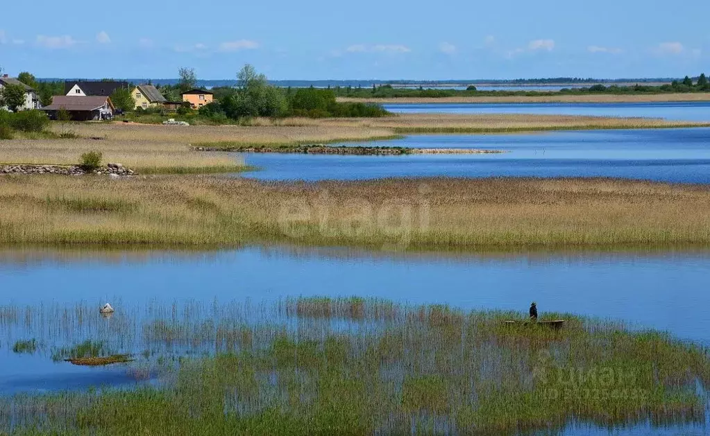 Участок в Псковская область, Печорский муниципальный округ, д. Литовиж ... - Фото 2