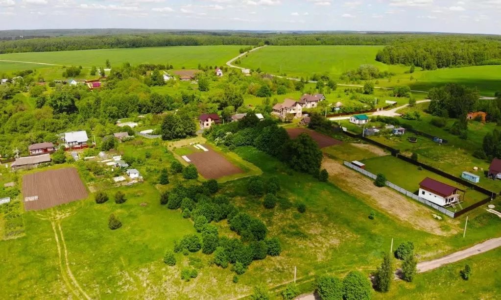 Участок в Тульская область, Заокский район, Демидовское с/пос, д. ... - Фото 2