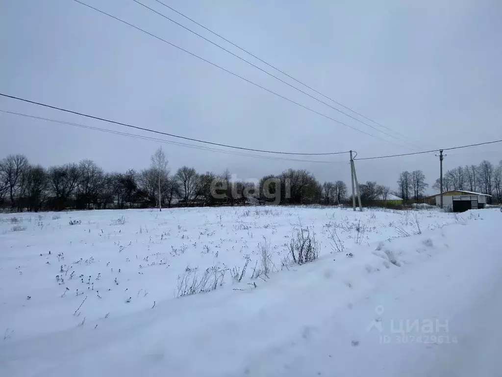 Участок в Владимирская область, Муромский район, Борисоглебское ... - Фото 1