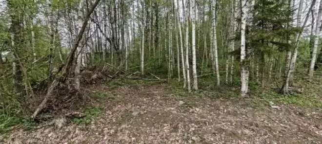Участок в Московская область, Руза  (7.73 сот.) - Фото 1