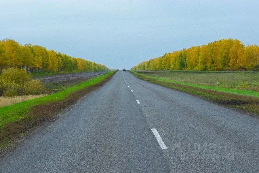 Участок в Тамбовская область, Рассказово ул. Счастливая, 35 (8.75 ... - Фото 1