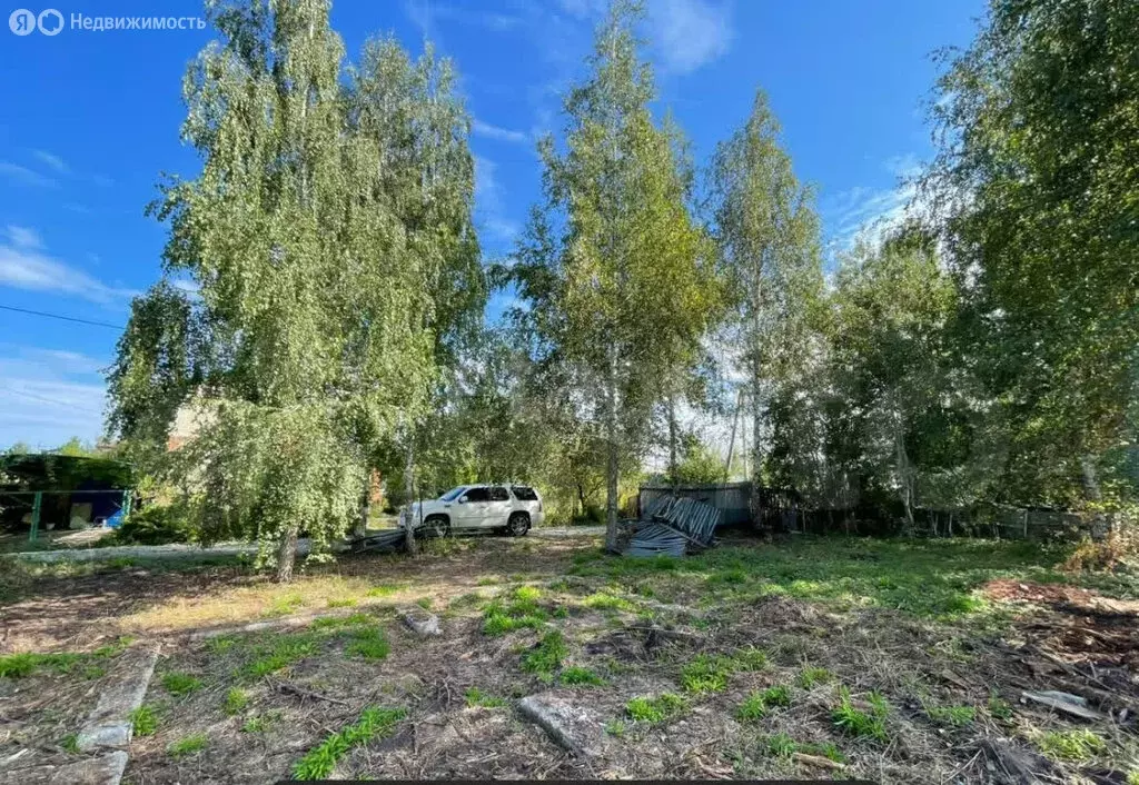 Участок в Рамонский район, Айдаровское сельское поселение, СНТ Роща ... - Фото 1